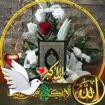 Mansour Hussein - @mansourhussein11 - Instagram