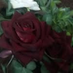 @mansour_saedi_k - Instagram