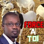 Mansour Thiam - @mansour.thiam.142035 - Instagram