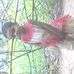 MD Mansur Khan - Facebook