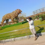 Mansur Sheikh - @mansursk95 - Instagram