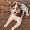Manu gupta - @manu.gupta63 - TikTok