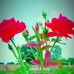 Manu Patel - Facebook