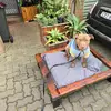 manuel abarca - @manuel.abarca52 - TikTok