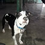 Manuel. abrego - @manuel._abrego - Instagram