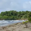 Manuel Abrego - @manuel.abrego75 - TikTok