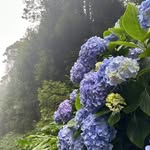 Manuel Abuin Barrios - @manuelabuinbarrios - Instagram