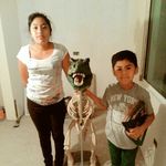 Manuel Acero - @manuel.acero - Instagram