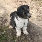 Manuela Lampersberger - @manuelalampersberger - Instagram