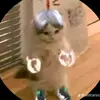 manuelsalas - @manuelsalas0355 - TikTok
