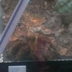 Manuel Albrecht - @manuel_albrecht11111 - Instagram