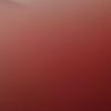 Manuel_Alexandre_torres - @manuel_alexandre_ - TikTok