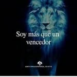 Manuel Almonte - @manuel.almonte.965 - Instagram