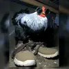 Manuel Alonso - @manuel.alonso289 - TikTok