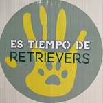 Manuel Alonso - @estiempoderetrievers - Instagram