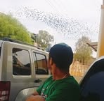 Manuel Ambriz - Facebook