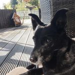 Manuel Anders - @andersmanuel - Instagram