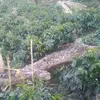 Manuel Aranda2801 - @manuelaranda62gmil.com - TikTok