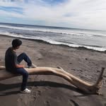 Manuel Ardon - @manuel.ardon.5851 - Instagram