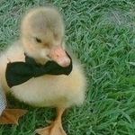 Manuel Armijos - @manuel_armijos_29 - Instagram