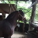 Manuel Artigas - @manuel.artigas.7505 - Instagram