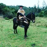 Manuel Artigas - @manuel.artigas.5030 - Instagram