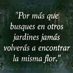 juan manuel asebedo - @juanmanuelasebedo - Instagram