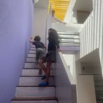 Manuel Ashley Jacinta Teo & Maxi in CDMX - @casa_parque_mexico - Instagram