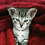 manuel - @manuel_austria - Instagram