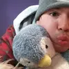 Manuel Avellan - @manuel3617 - TikTok