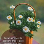 Manuel Avendano - Facebook