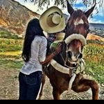 Manuel Bailon - @bailon946 - Instagram