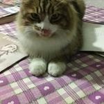 Manuel Balestrini - @balestrinimanuel - Instagram