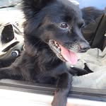 Manuel Baltierra - @manuelbaltierra - Instagram