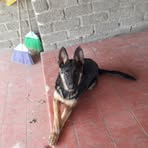 Manuel Barron - Facebook