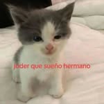 Manuel Barton - @22cm_vacalola17 - Instagram