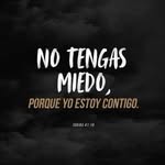 Manuel Barton Pella Torres - @manuel.p.torres.7 - Instagram