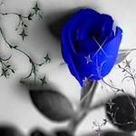 Manu - @manuela.bartschi - Instagram