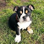 Manuel Bartschat - @manuelbartschat - Instagram