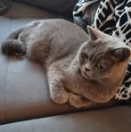 Manuel Bauer - Facebook