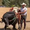 Manuel Becerril - @arrendadorbecerril - TikTok