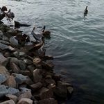 Manuel Becerril - @manuel_becerril - Instagram