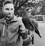 Manuel Beck - Facebook