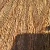 Manuel Blas - @manuel.blas4 - TikTok