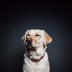 ManuelBrewer - @manuelbrewerr - Instagram