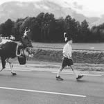 Manuel Brunner - @manuelbrunner11 - Instagram