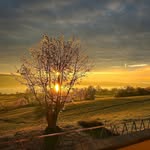 Manuel Brunner - @mainivomsee - Instagram