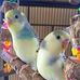 Manuel Bucio - Facebook