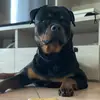 Manuel_Buck - @manuel_buck - TikTok