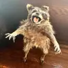 𝓜𝓪𝓷𝓾𝓮𝓵𝓫𝓾𝓬𝓴 - @manuelbug - TikTok